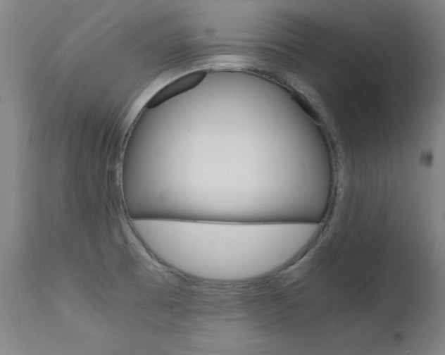 X0000112151473200908070951