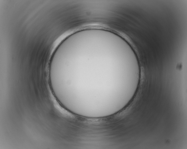 X0000112151474200908070951