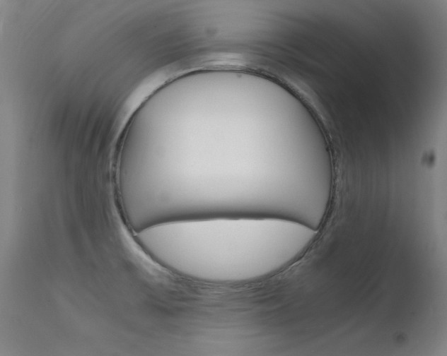 X0000112151475200908070951