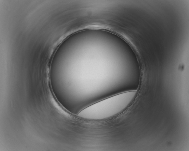 X0000112151476200908070951