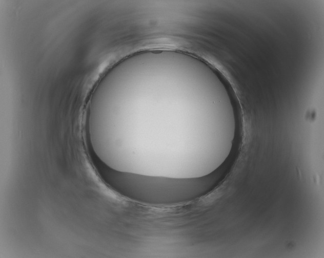 X0000112151477200908070951