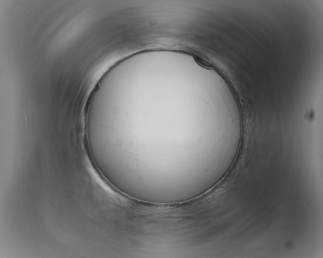 X0000112151479200908070951