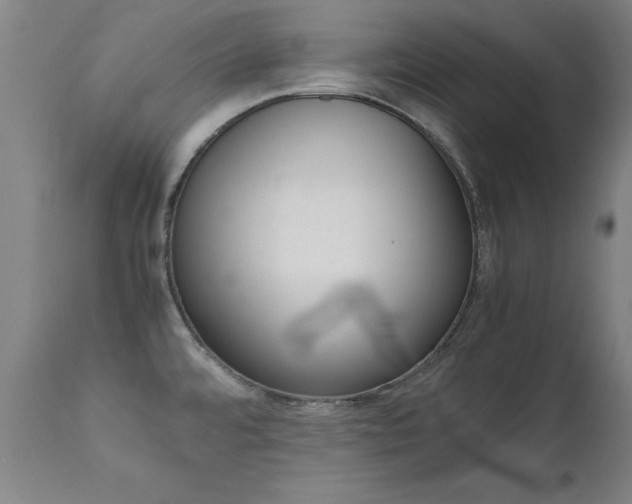 X0000112151480200908070951