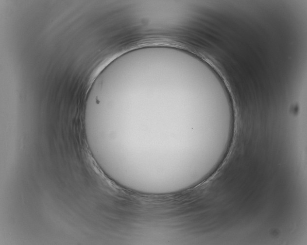 X0000112151481200908070951
