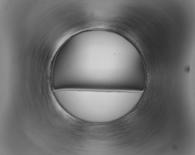 X0000112151483200908070951
