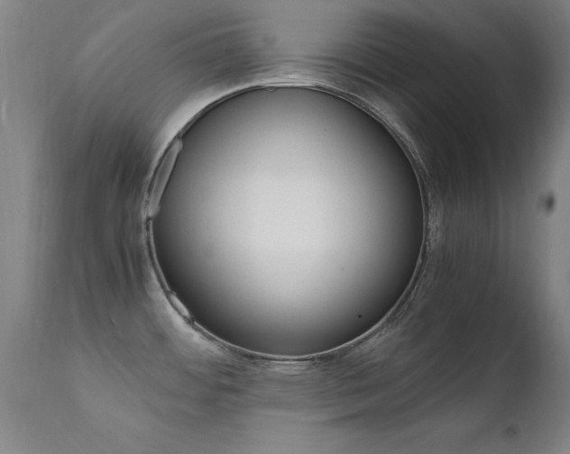X0000112151484200908070951