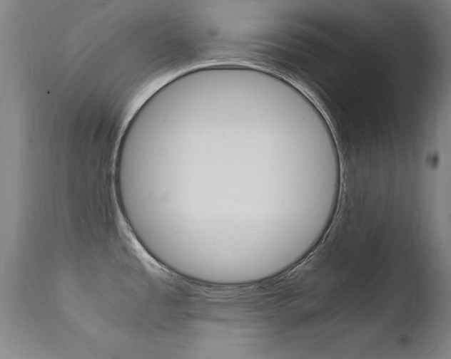 X0000112151485200908070951