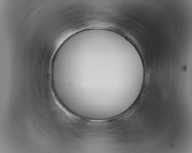 X0000112151487200908070951