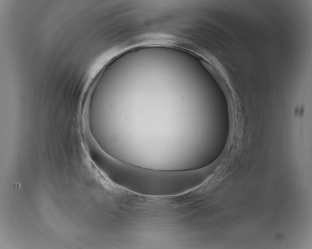 X0000112151488200908070951
