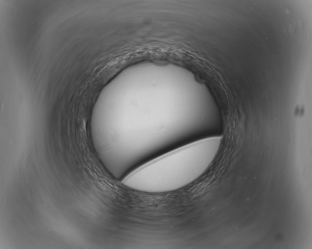 X0000112151489200908070950