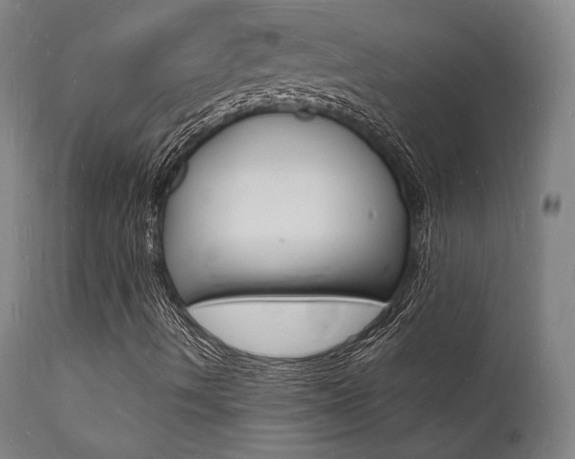 X0000112151490200908070950
