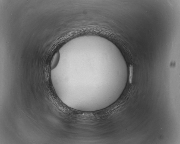 X0000112151491200908070950