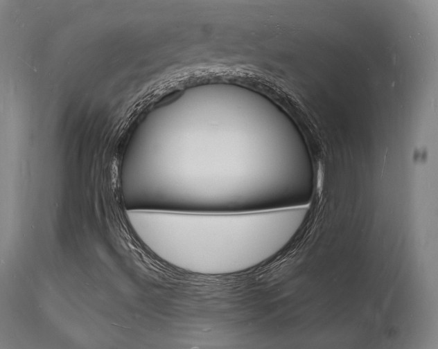 X0000112151492200908070950