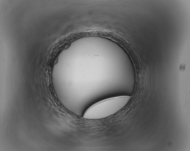X0000112151493200908070950