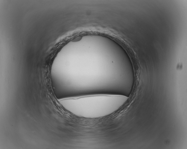 X0000112151494200908070950