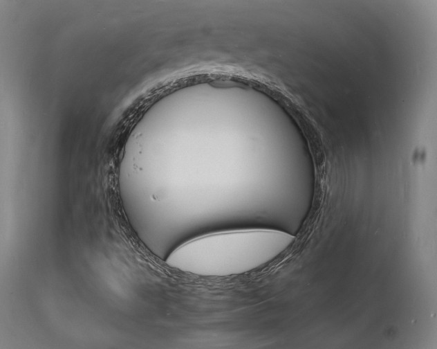 X0000112151495200908070950