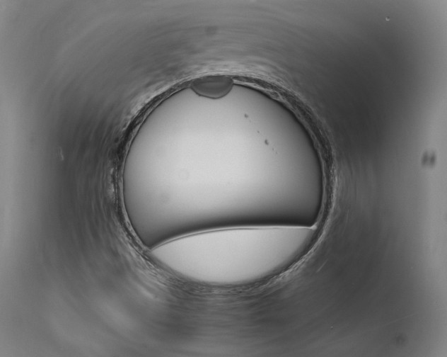 X0000112151497200908070950