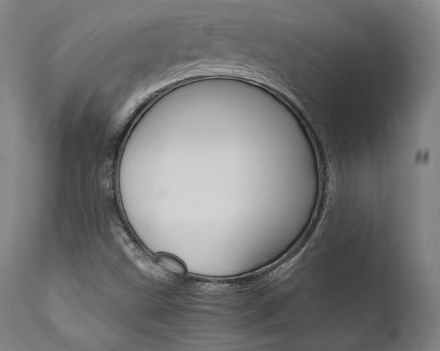 X0000112151499200908070950