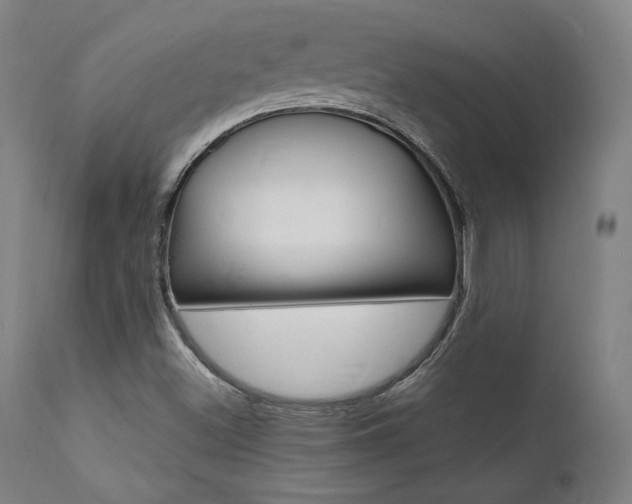 X0000112151500200908070950