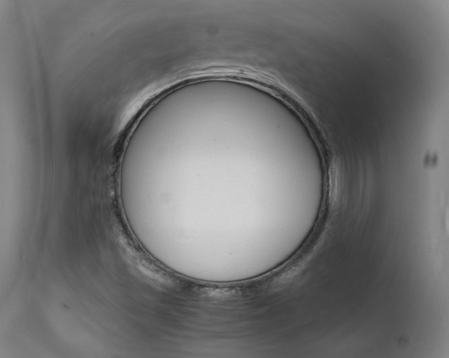 X0000112151501200908070950