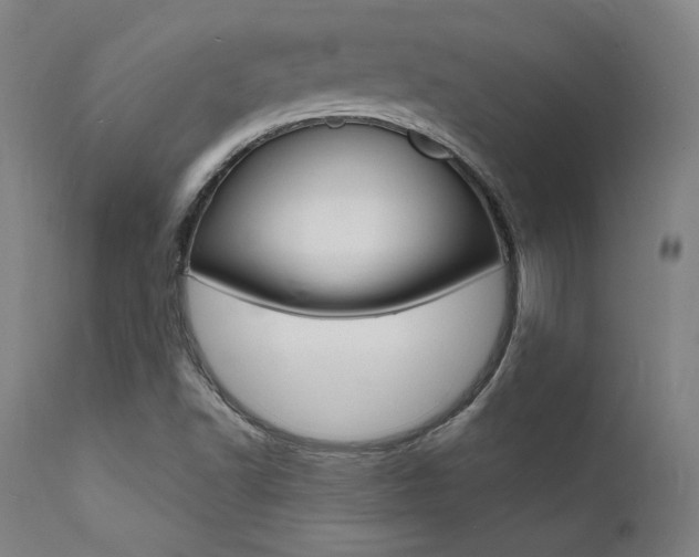 X0000112151502200908070950