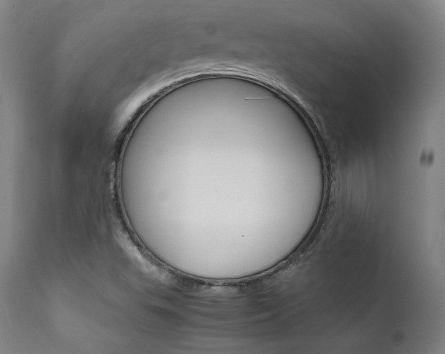 X0000112151503200908070950