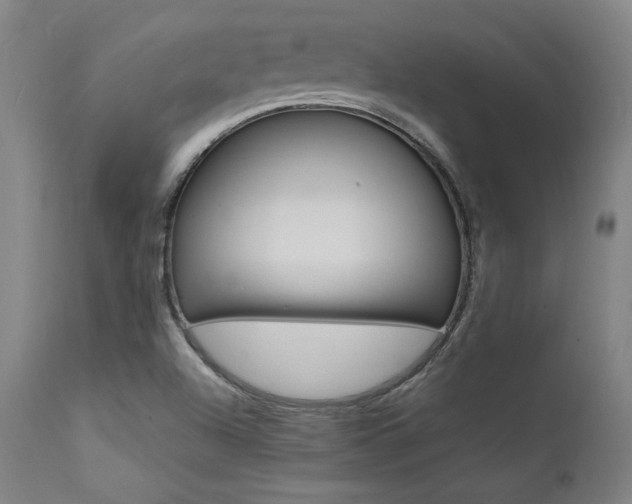 X0000112151504200908070950