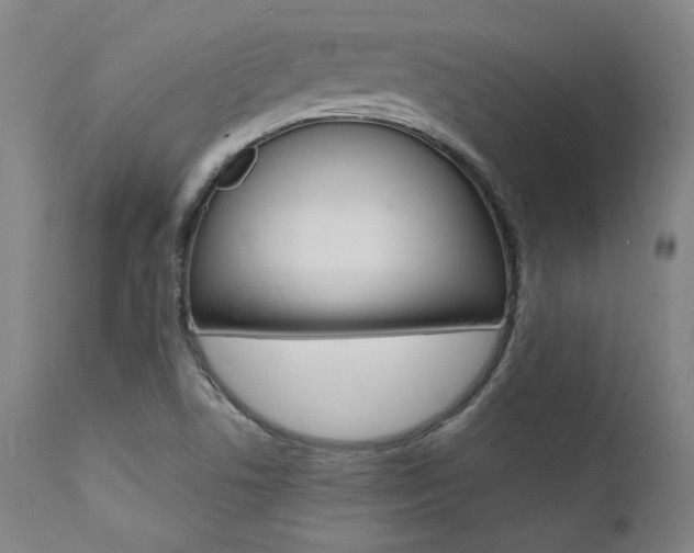X0000112151506200908070950