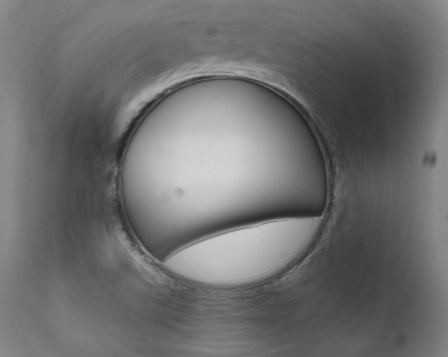 X0000112151507200908070950