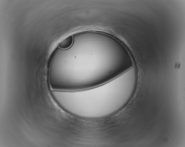 X0000112151508200908070950