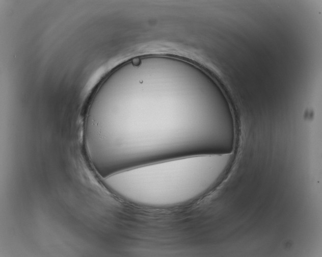X0000112151509200908070950