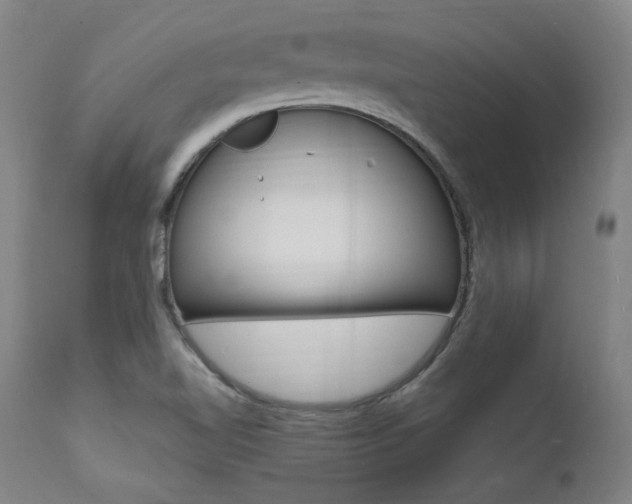 X0000112151510200908070950