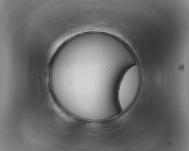 X0000112151511200908070950