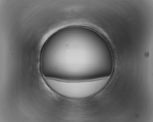 X0000112151512200908070950
