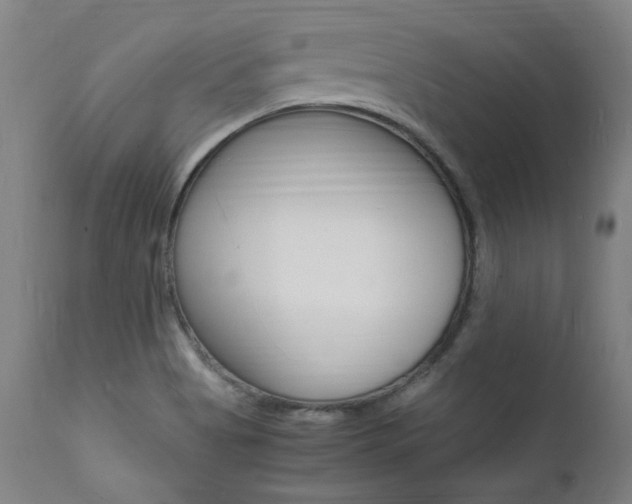 X0000112151513200908070950