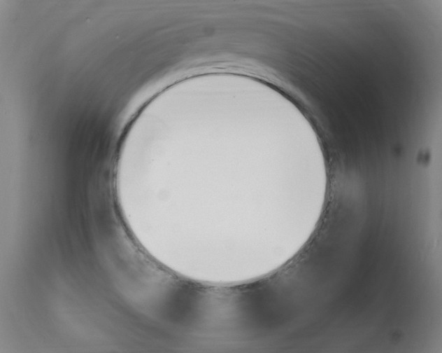 X0000112151514200908070950