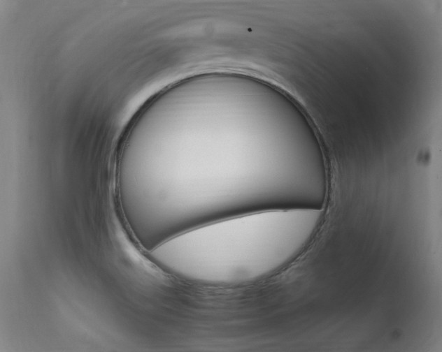 X0000112151515200908070950