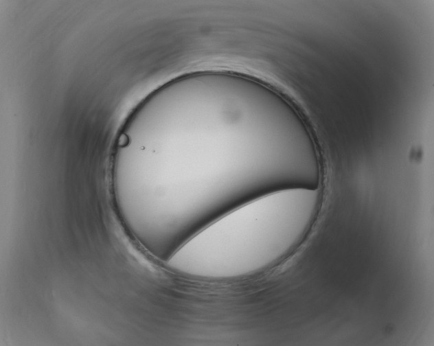 X0000112151517200908070950