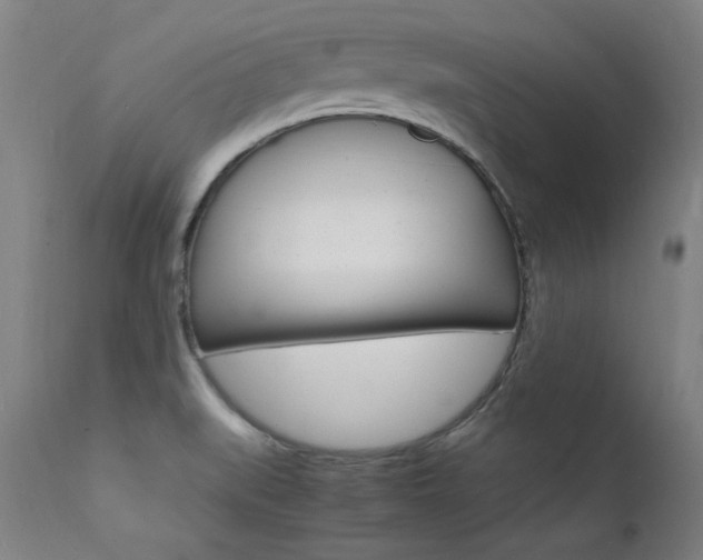 X0000112151519200908070950