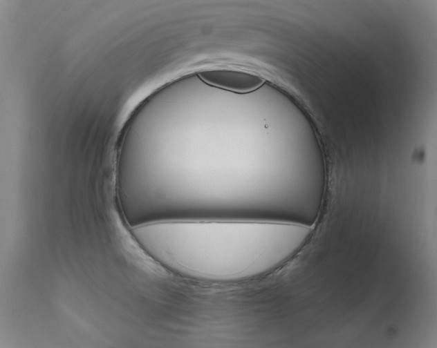 X0000112151522200908070950