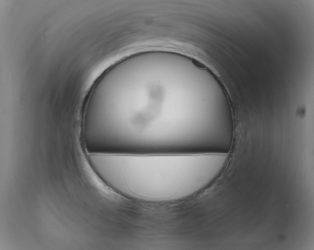 X0000112151523200908070951