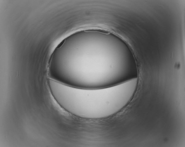 X0000112151524200908070951