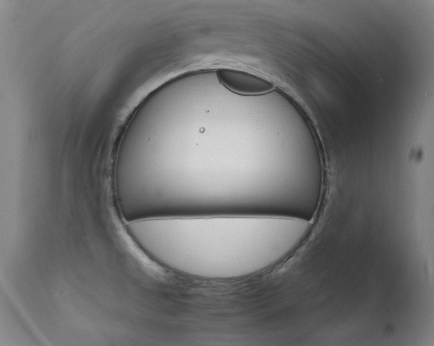 X0000112151525200908070951