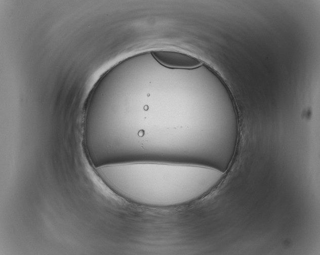 X0000112151526200908070951