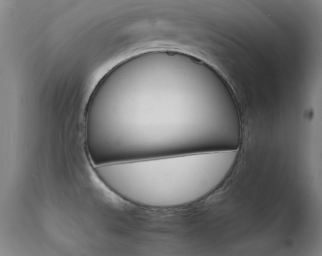 X0000112151527200908070951