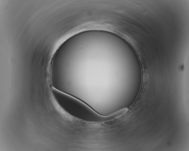 X0000112151528200908070951
