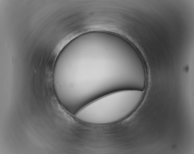 X0000112151529200908070951