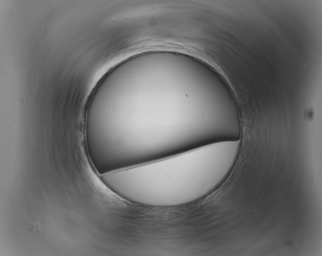 X0000112151531200908070951