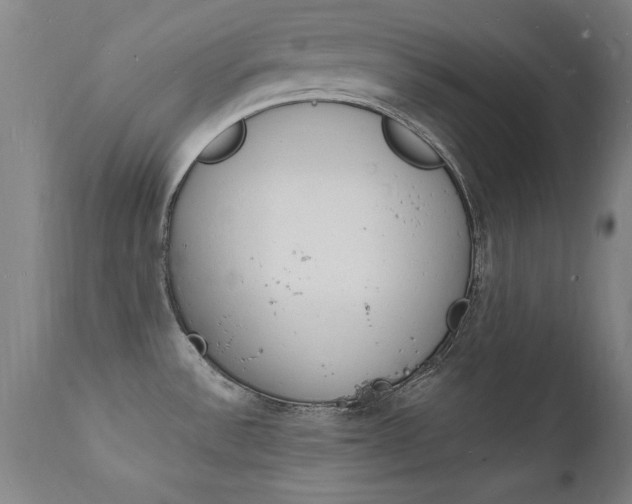 X0000112151532200908070951