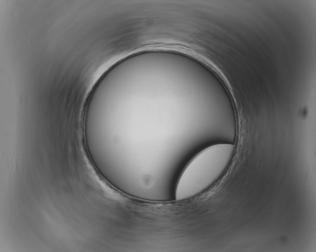 X0000112151533200908070951